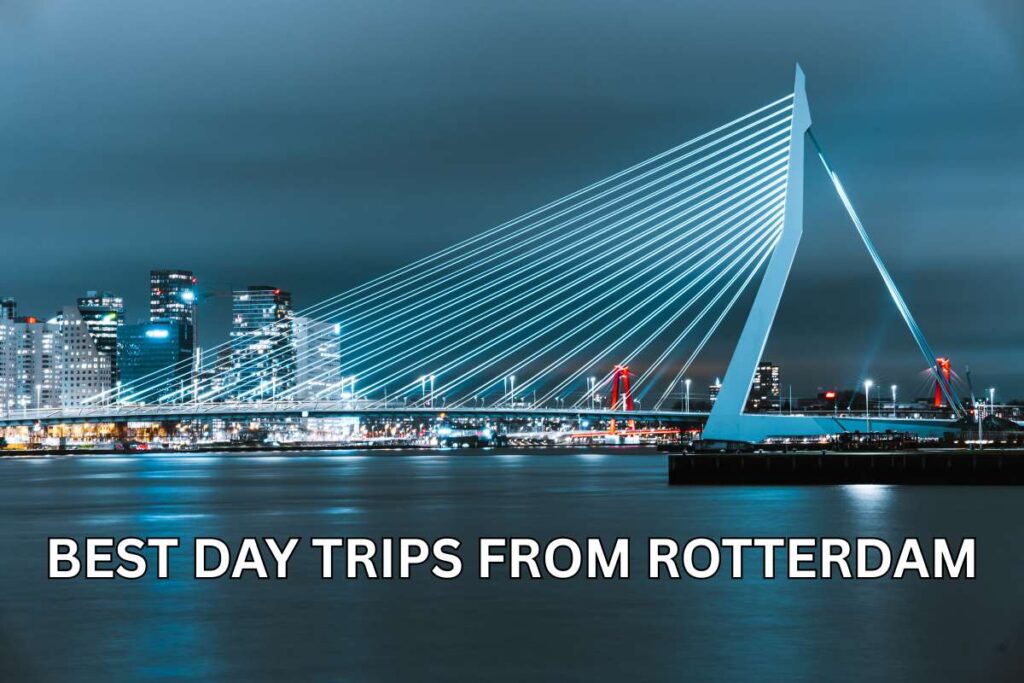 Best Day Trips from Rotterdam