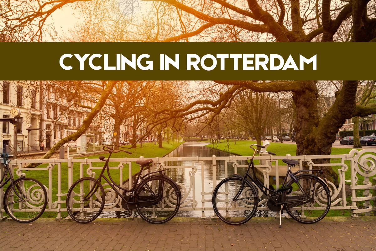 Cycling in Rotterdam: How to Rent and Where to Ride