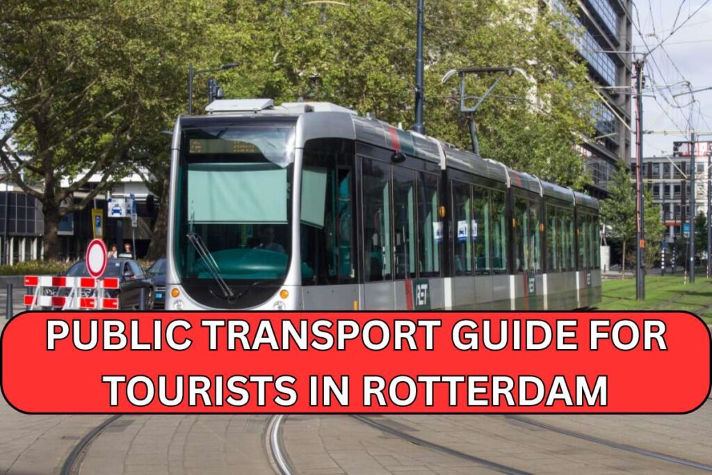 Public Transport Guide for Tourists in Rotterdam