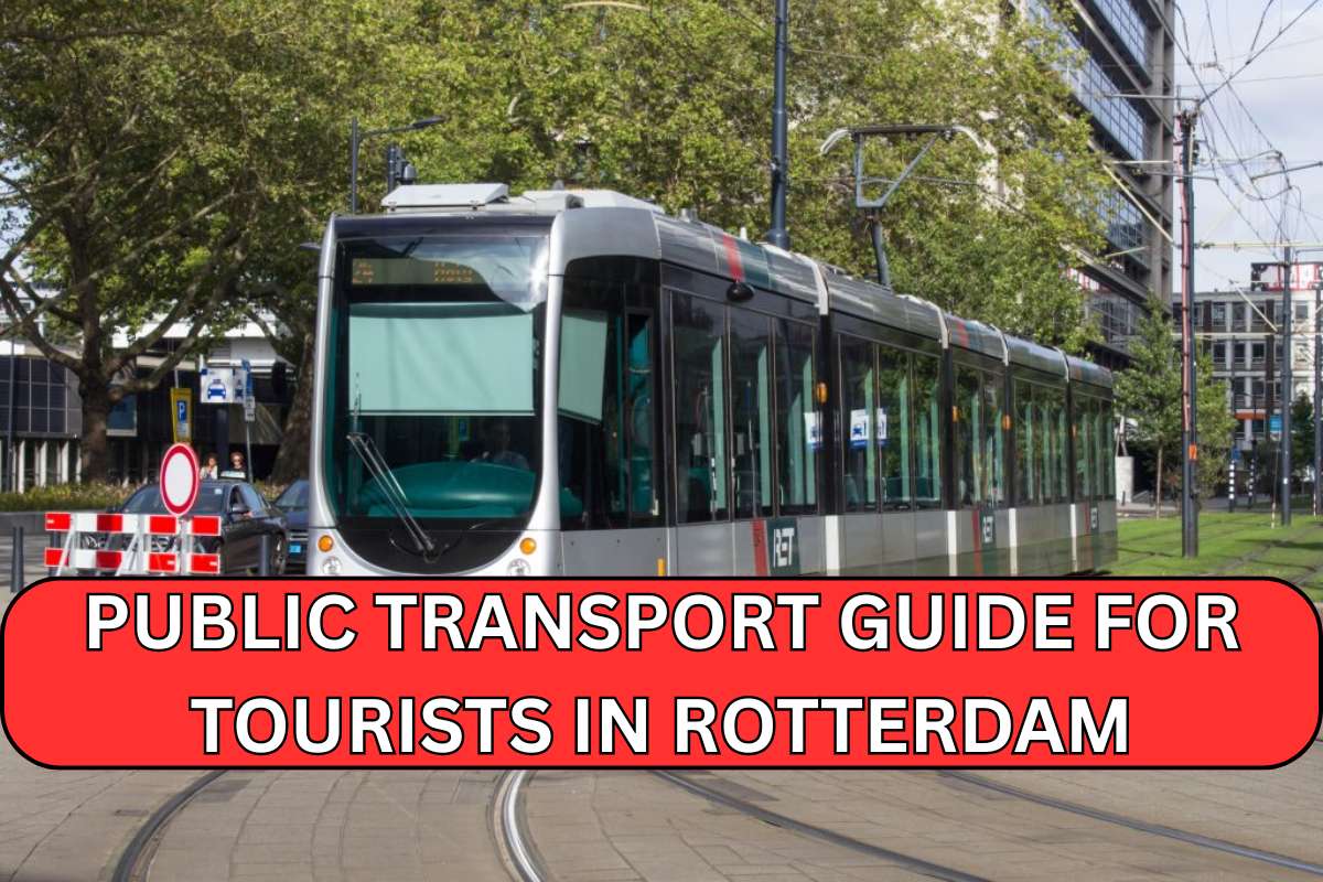 Public Transport Guide for Tourists in Rotterdam