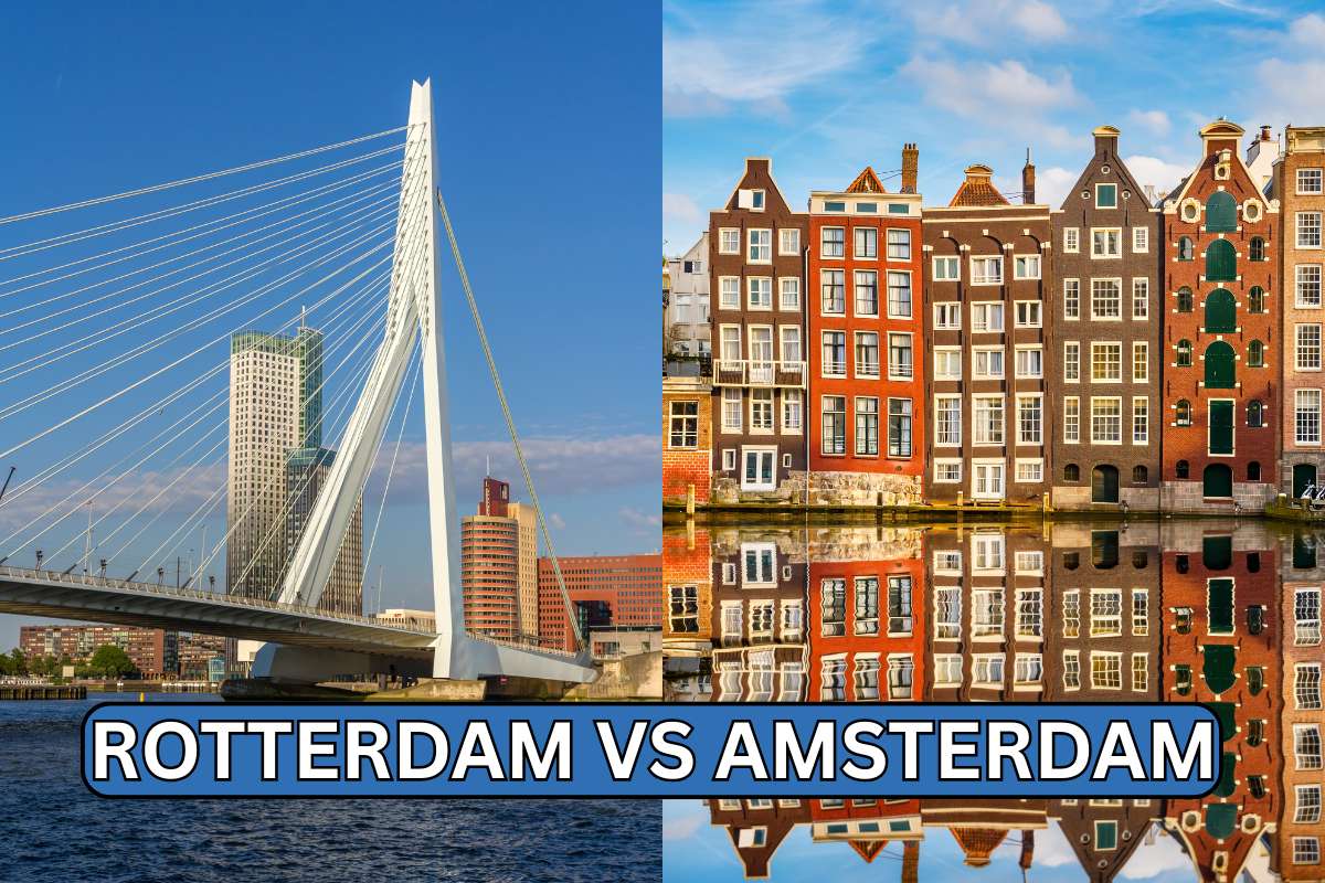 Rotterdam vs Amsterdam 