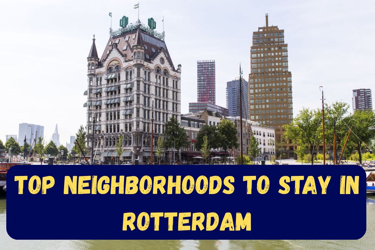 Top Neighborhoods to Stay in Rotterdam